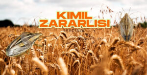Kımıl zararlısı