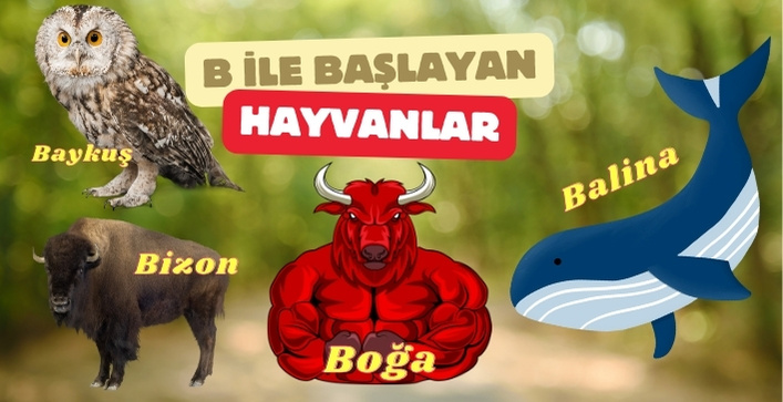 b ile başlayan hayvan isimleri