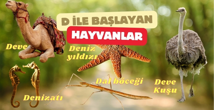 d harfi ile başlayan hayvan isimleri