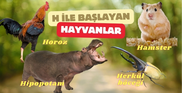 h harfi ile başlayan hayvan isimleri