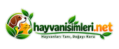 Hayvanisimleri.net