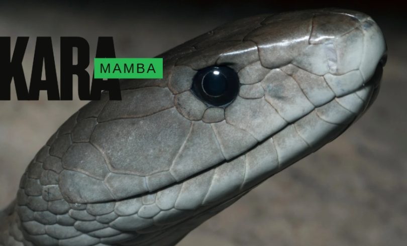 kara-mamba