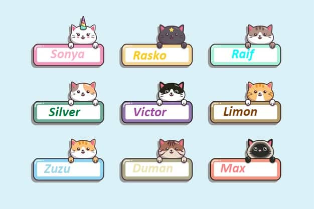 En Popüler Dişi ve Erkek Kedi isimleri